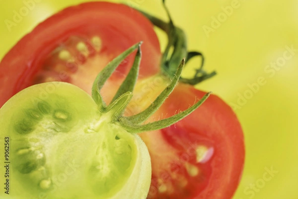 Obraz ripe and unriped tomatoes