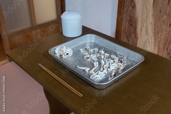 Fototapeta ペット火葬　骨　火葬　小型犬