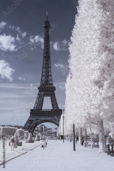 Fototapeta Eiffel tower in infrared