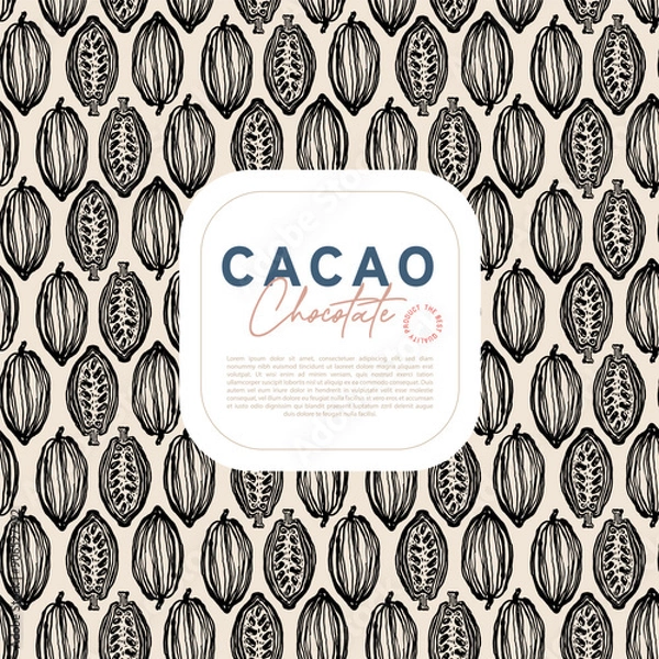 Obraz Cocoa bean botanical textured illustration. Vintage style chocolate design template. Chocolate cacao bean. Vector illustration