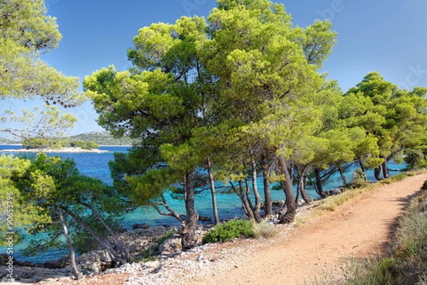 Obraz Chorwacja, Bilo, Grebastica