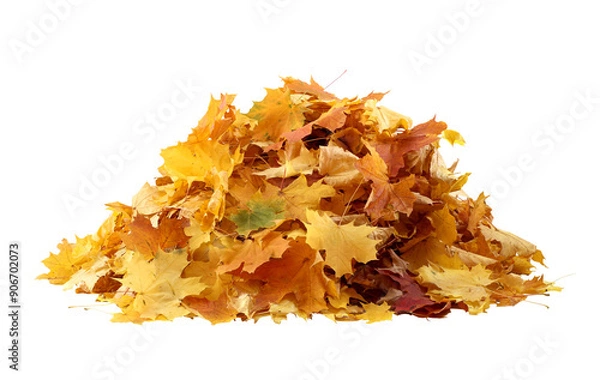 Fototapeta Pile of yellow autumn leaves isolated. A heap of different maple dry leaves cut out
