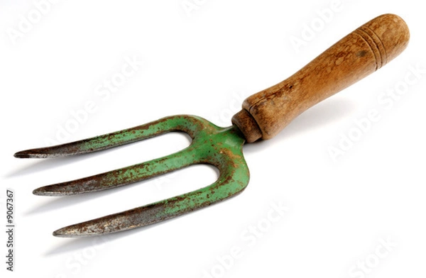 Obraz Garden fork