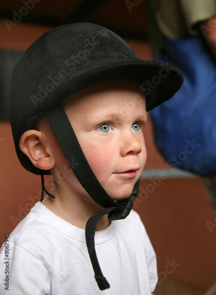 Fototapeta Petit cavalier #1