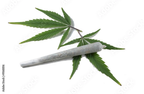 Obraz Marihuana cigarette with two cannabis leafs isolated
