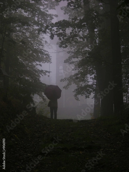 Obraz mensch im nebel