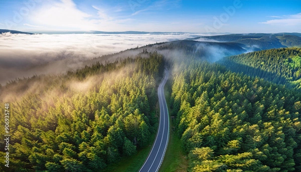 Fototapeta Winding road through dense pine forest, morning mist creating a mystical atmosphere; aerial shot from the drone, top view