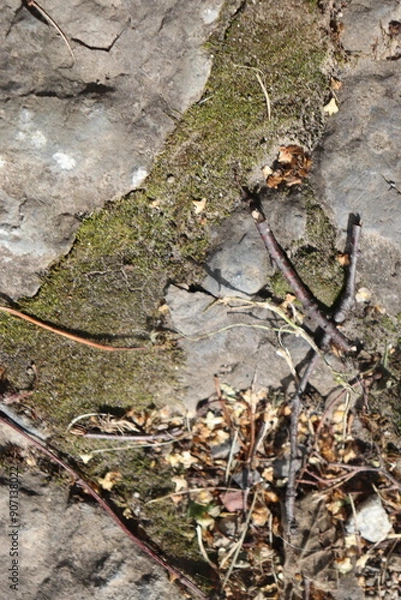 Obraz Gray stone blocks with soil and plants.

