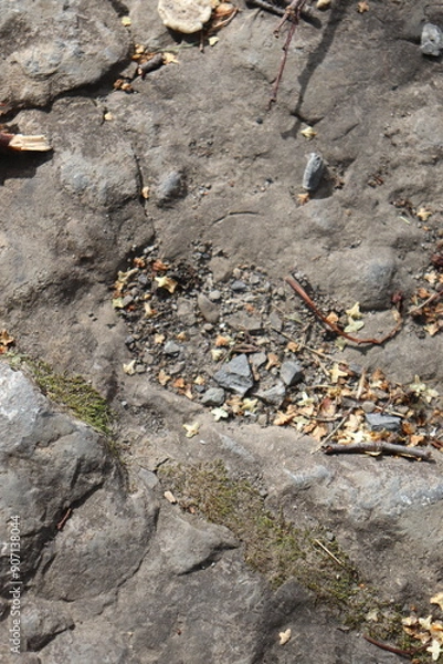 Obraz Gray stone blocks with soil and plants.

