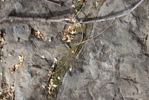 Obraz Gray stone blocks with soil and plants.

