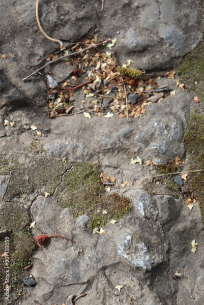 Obraz Gray stone blocks with soil and plants.


