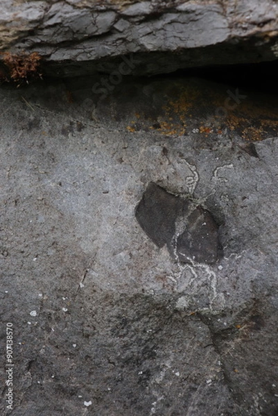 Obraz Gray stone blocks with soil and plants.

