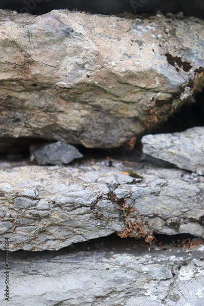 Obraz Gray stone blocks with soil and plants.

