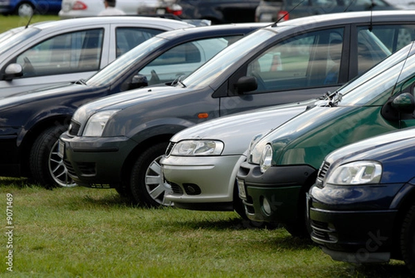 Obraz Samochody zaparkowane na zielonej trawie