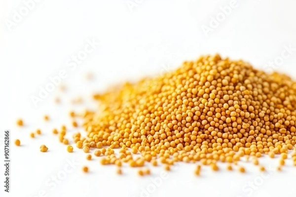 Fototapeta mustard isolated on white background, full depth of field , ai