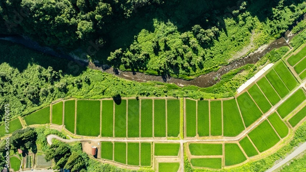 Fototapeta ドローン写真：山奥の田んぼと川