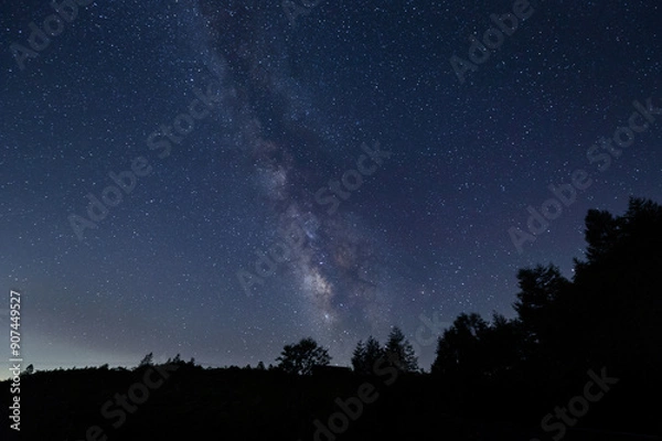 Fototapeta 森の向こうに輝く天の川