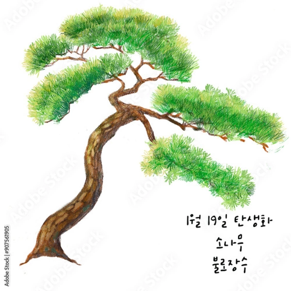 Obraz 1월18일탄생화  소나무