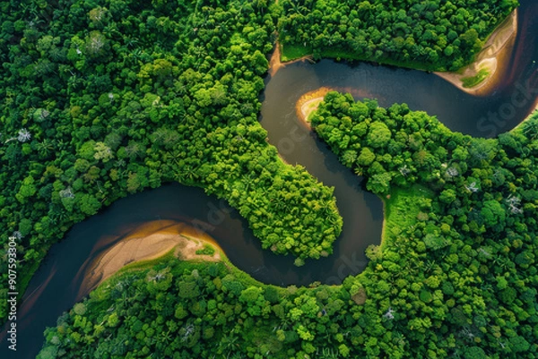 Obraz horizontal aerial drone image of a tropical river flowing through a rainforest, dark water and lush vegetation
