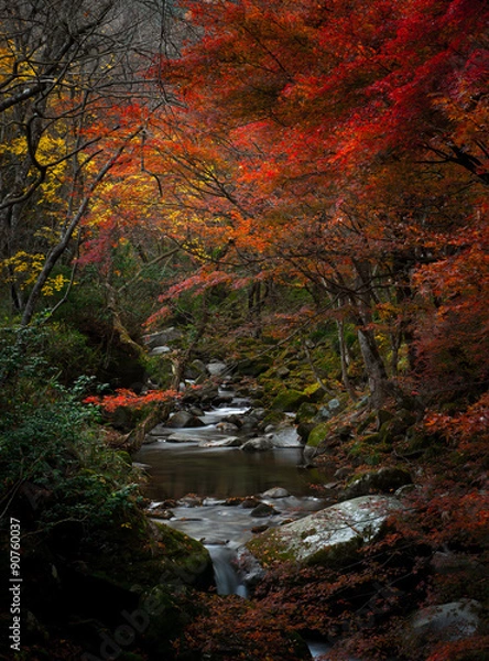 Obraz 渓谷の紅葉
