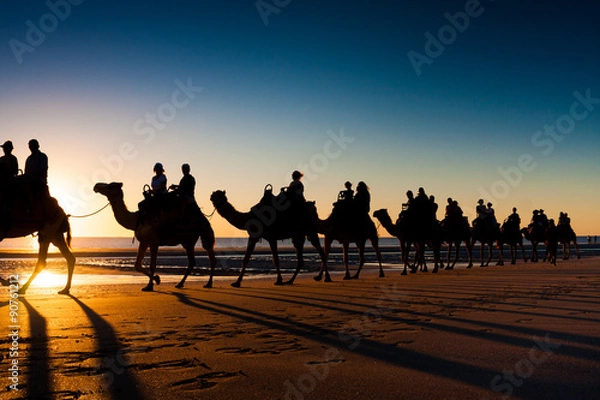 Fototapeta Camels in Cable Beach
