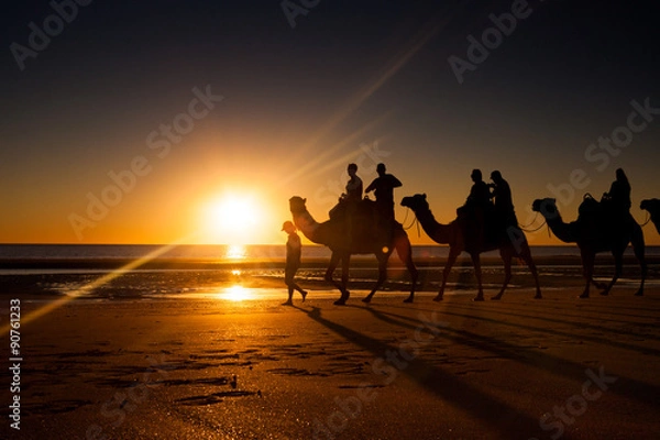 Fototapeta Camels in Cable Beach