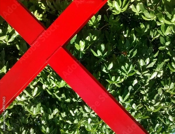 Fototapeta Verde com cruz vermelha