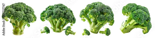 Fototapeta Fresh broccoli with vibrant green color, perfect for healthy recipes and nutritious meals, showcasing its natural beauty.