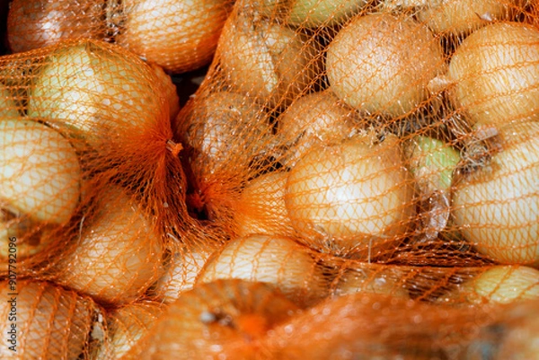 Obraz Onions in orange mesh bags