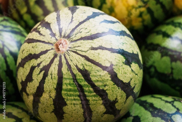 Obraz Close-up of watermelons