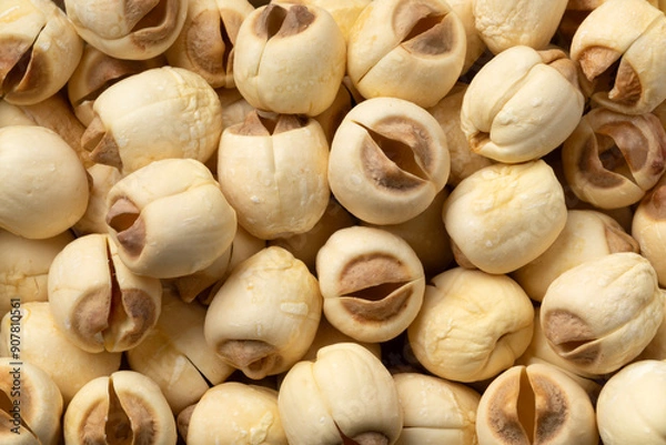 Obraz  Dried Lotus seed full frame close up as background