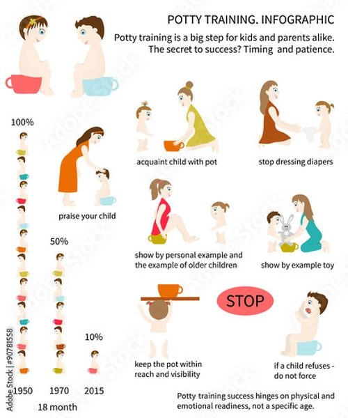 Obraz Potty Training. Infographic