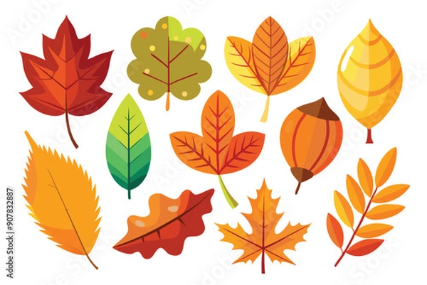 Obraz Collection of Colorful Autumn Leaves and Acorn