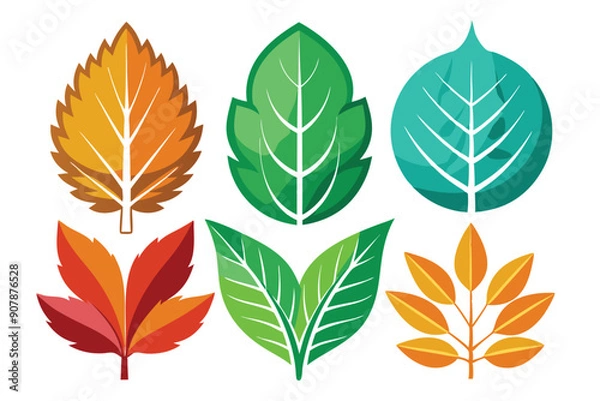 Fototapeta Colorful Flat Style Leaf Illustrations