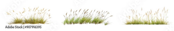 Obraz Waves gently lap at the sandy shoreline while lush grass sways in the breeze under bright sunlight, creating a serene coastal atmosphere