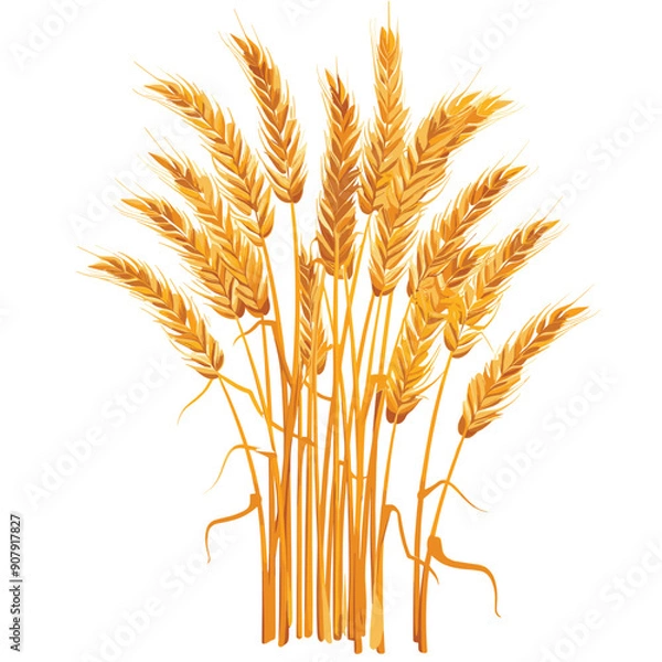 Fototapeta Golden yellow wheat stalks standing tall, heads full ripe, set against isolated white background. Agricultural produce, particularly wheat, realistic graphic style farming harvesting themes. Wheat