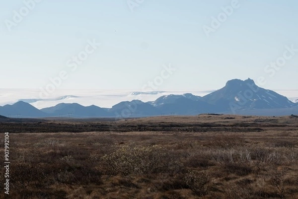 Obraz mount hood state
