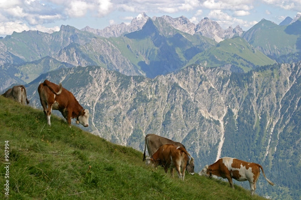 Obraz picknick im grünen
