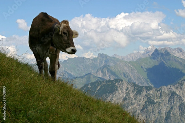 Obraz tolle aussichten