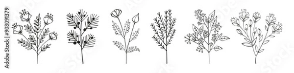 Fototapeta Set of autumn summer twigs of wild plants with leaves flowers and seeds, hand drawn with one line. Flat doodle style. Vector illustration.