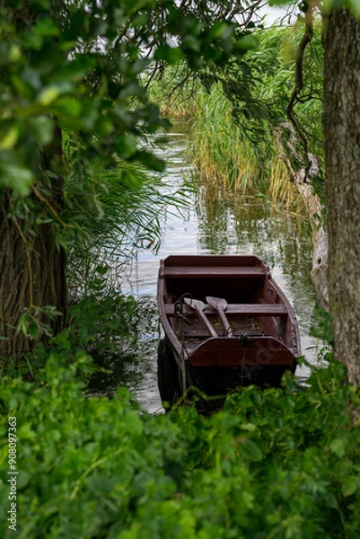 Fototapeta Old wooden boat with oars moored on the shore of a lake in dense green thickets
