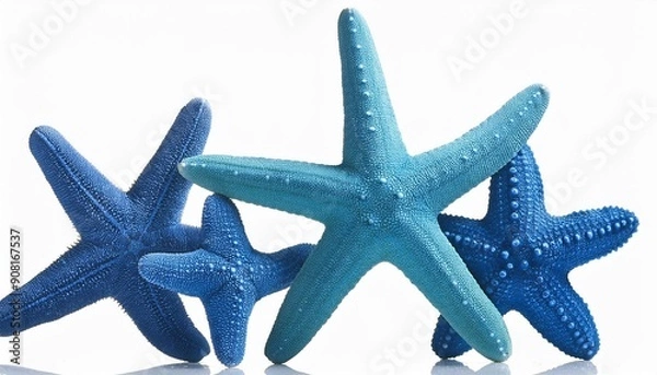 Obraz starfish on blue background