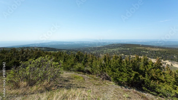 Obraz Wilderness Landscape