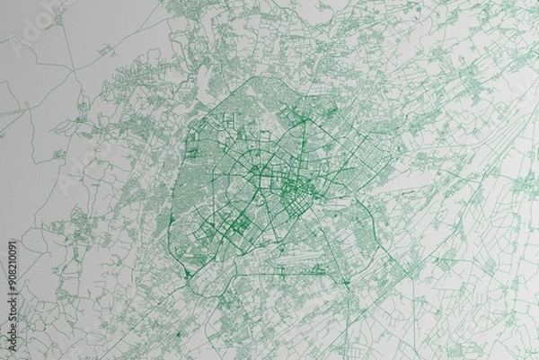 Fototapeta Map of the streets of Tashkent (Uzbekistan) made with green lines on white paper. 3d render, illustration