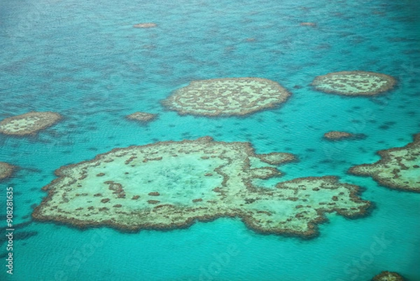 Fototapeta Aerial view of the Hardy Reef in the Great Barrier Reef, the world's largest coral reef system located in the Coral Sea, off the coast of Queensland, Australia