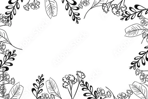 Obraz Yarrow flowers with feathers and branches plant with round leaves frame in graphic style hand drawn doodle illustration for use in banner and postcard design