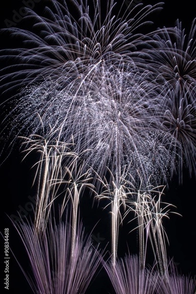 Fototapeta 白い花火