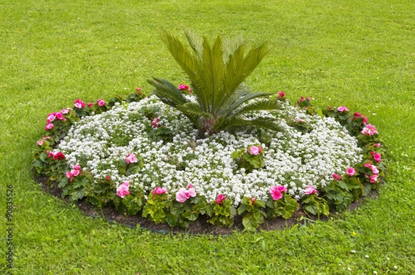 Obraz Round flower bed