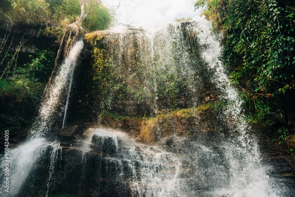 Obraz waterfall in the forest