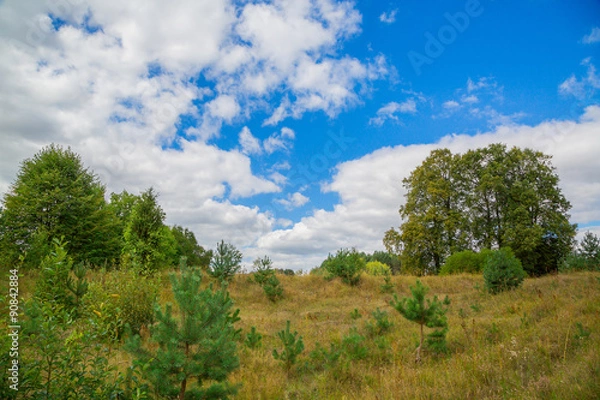 Obraz  landscape with trees